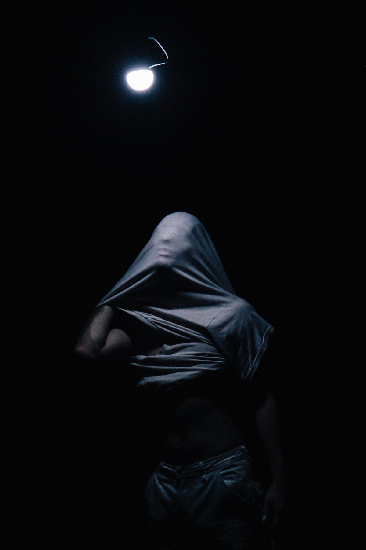 Only Bones - Dinosaurtoast Photography