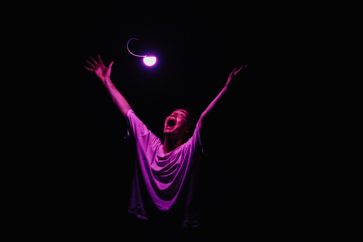 Only Bones - Dinosaurtoast Photography